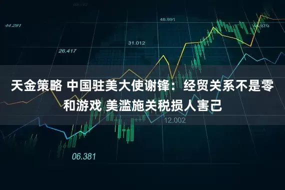 天金策略 中国驻美大使谢锋：经贸关系不是零和游戏 美滥施关税损人害己