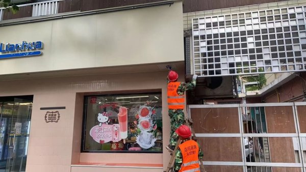 股粮网 风大雨急！梧桐树下，老房子老人是他们关注的重点
