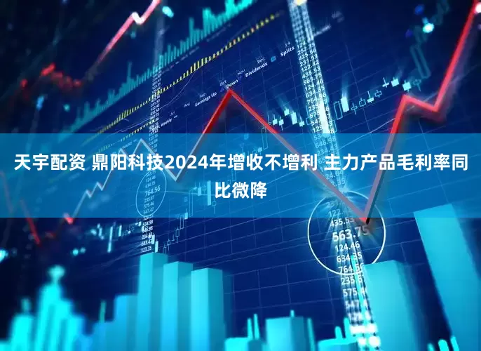 天宇配资 鼎阳科技2024年增收不增利 主力产品毛利率同比微降