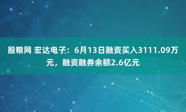 股粮网 宏达电子：6月13日融资买入3111.09万元，融资融券余额2.6亿元