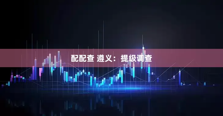 配配查 遵义：提级调查